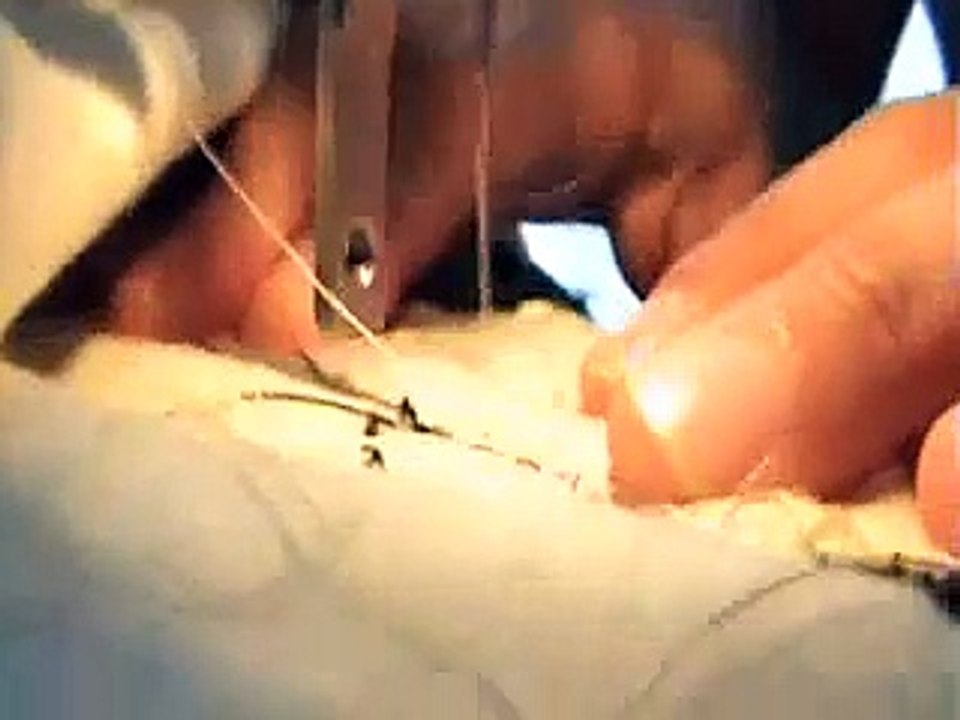 Animacion en Casa de la Abuela