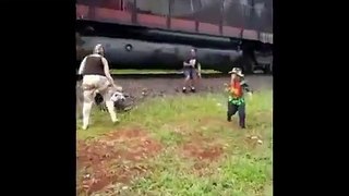 Family gets plowed by train while posing for a photo