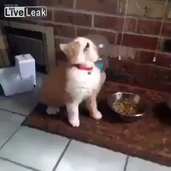 Give me a drink - troll