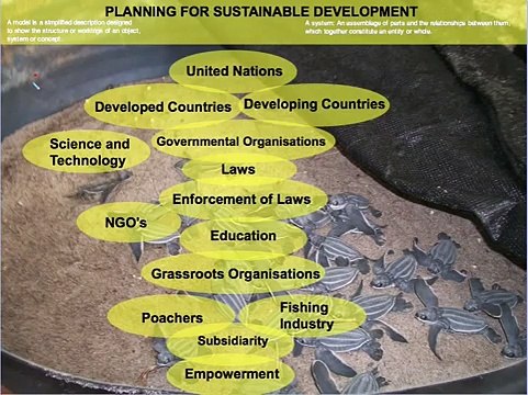 4.3.(1-2): Managing Biodiversity-Case Studies in Environmental Management