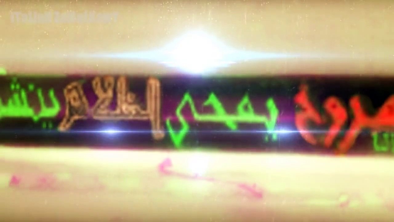 Ultras White Knights - شمس الحرية