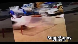 Funny FAILS | Ultimate Funny Videos Fails Compilation 2015 | FailLand