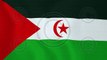 Loopable: Flag of Western Sahara - Royalty-Free Stock Footage