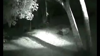 Strange humanoid creature caught on video