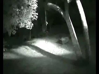 Strange humanoid creature caught on video