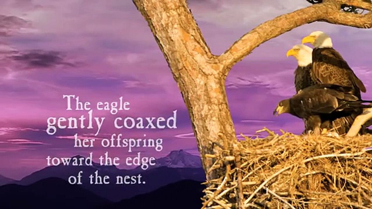 Even Eagles Need a Push by David McNally