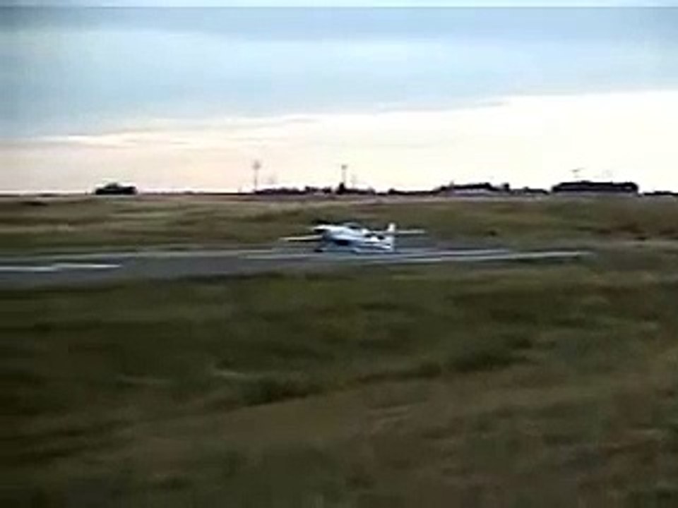 Viking Dragonfly