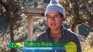 Mejoramiento agrícola integral de Sapanani. 2ª fase. Cochamba. Bolivia