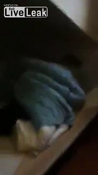 guy gets tased while sleeping