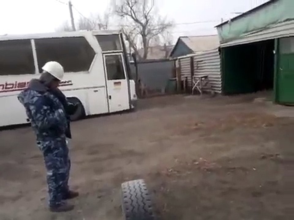 Dog running in place to 80s music