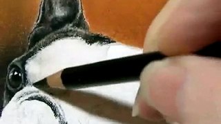 Painting a Day Demonstration - Boston Terrier by Roberta 
