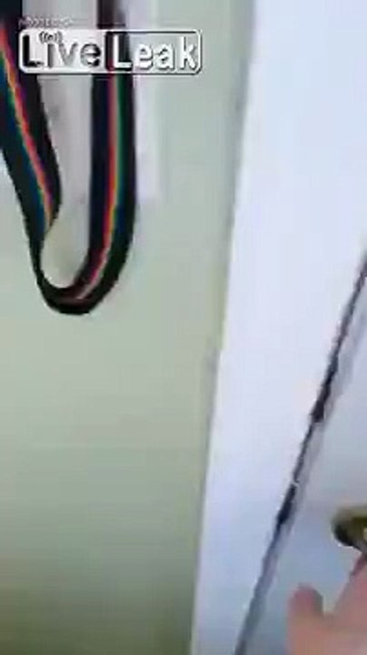 Can I Pet Your Titties