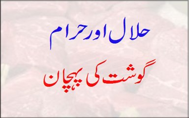 Download Video: Halal Or Haram Gosht Ki Pehchan