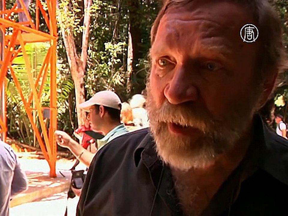 Высотная башня над Амазонией поможет изучать климат