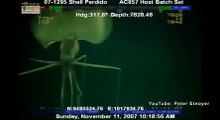 Alien invader No, the 26ft long Mangapinna SQUID discovered