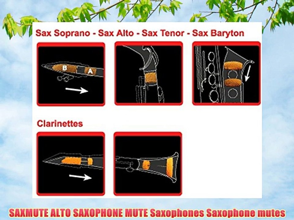 SAXMUTE ALTO SAXOPHONE MUTE Saxophones Saxophone mutes - video Dailymotion