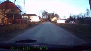 Driver Watches as Dog Walks Boy Across Street