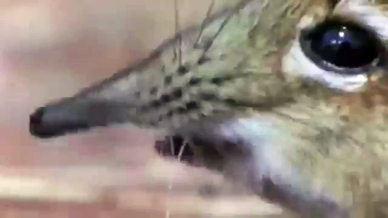 You-didn't-see-that-coming