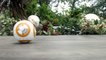 Voici le nouveau jouet Star Wars - mini droide BB-8