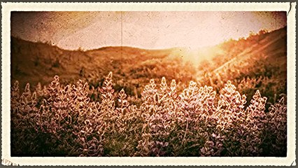 Nadezda Cmiljic - Da je visnja k'o tresnja