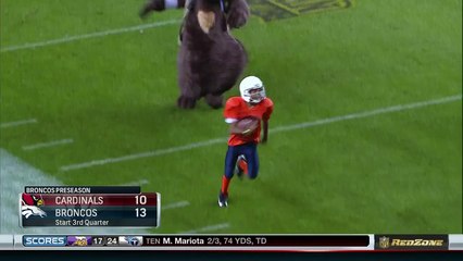Football américain - La mascotte des Nuggets ne fait pas de cadeau aux enfants