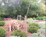 Friary Park replanting