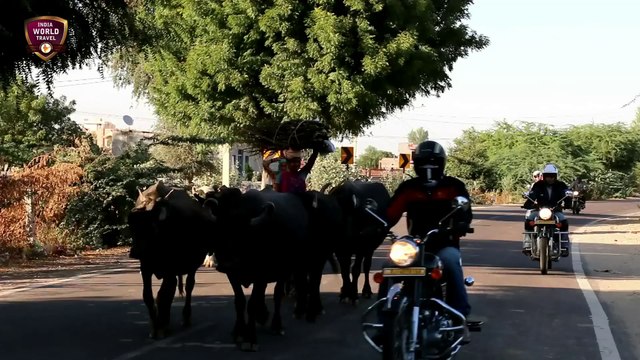 Royal Enfield trip au Rajasthan | voyage moto Inde