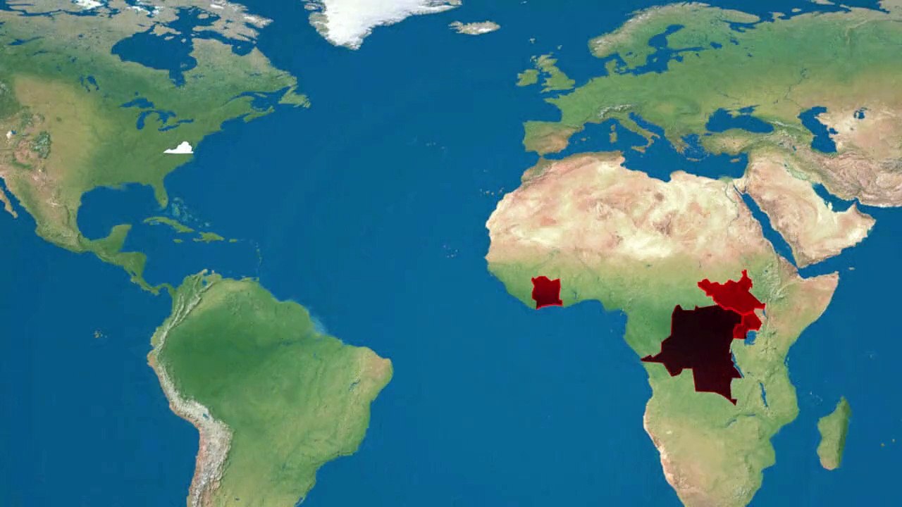 Ebola virus