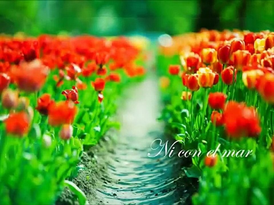 7 De Septiembre - Mecano - Chill n' Out.