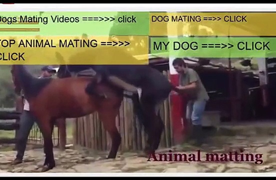 Animal matting 2015