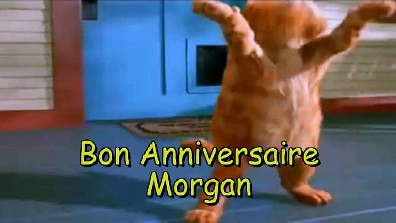 MORGAN 2015