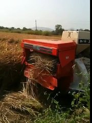 Rice and Wheat cutter Machine at ahmedabad