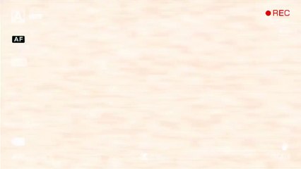 【ＭＭＤ ＶＩＮＥ】『゜deh little babeh ゜』