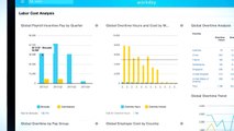 From Data to Decision: Analysing Your Global Labour Costs