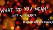 Justin Bieber - What Do You Mean Remix (Evando Moreira)