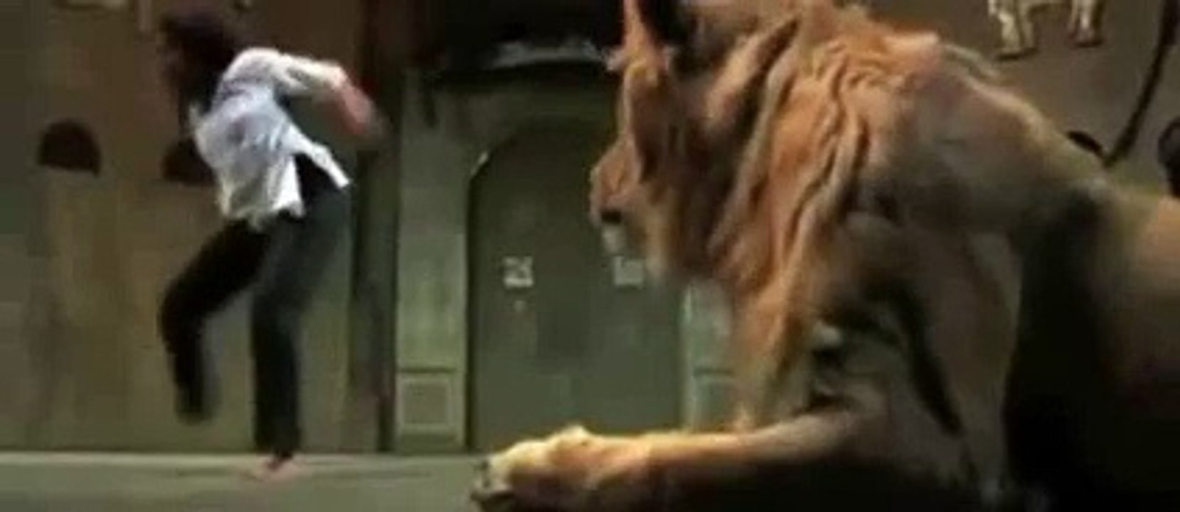 Lion Attacks girl