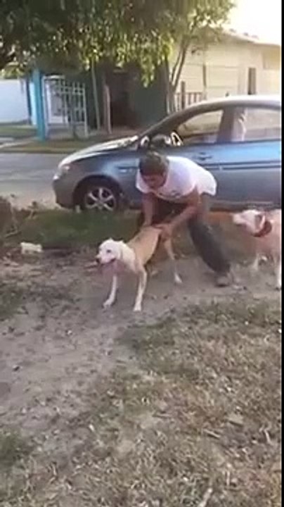Great And Amazing Video Clip Shocking Must Watch It