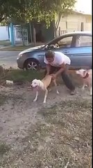 Great And Amazing Video Clip Shocking Must Watch It