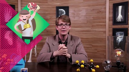 Introduction to Anatomy & Physiology #1