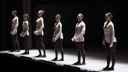 Naharin's Virus (2014) (extract n°2)