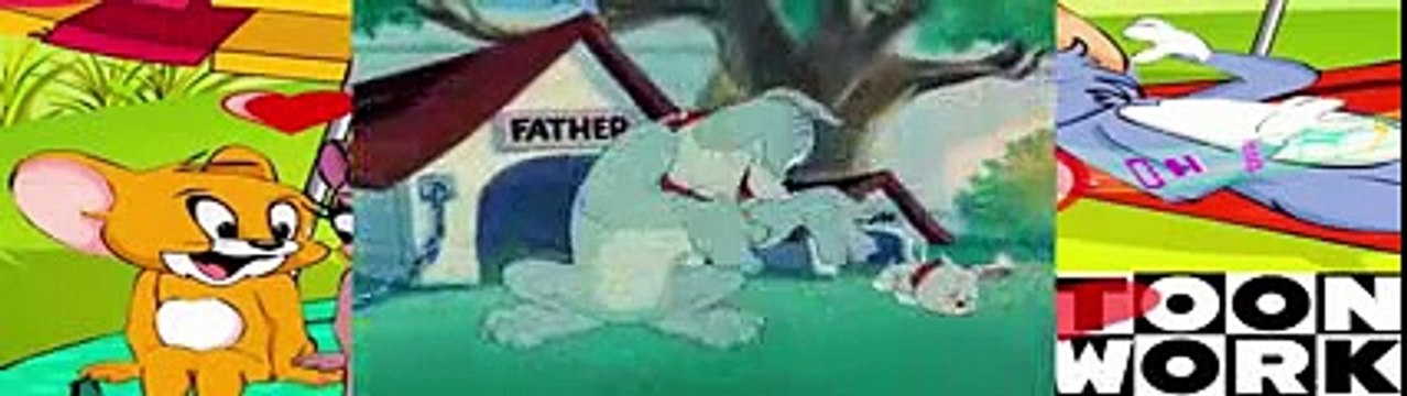 Tom and jerry Jerrys Diary Mice Follies new 2015-2016