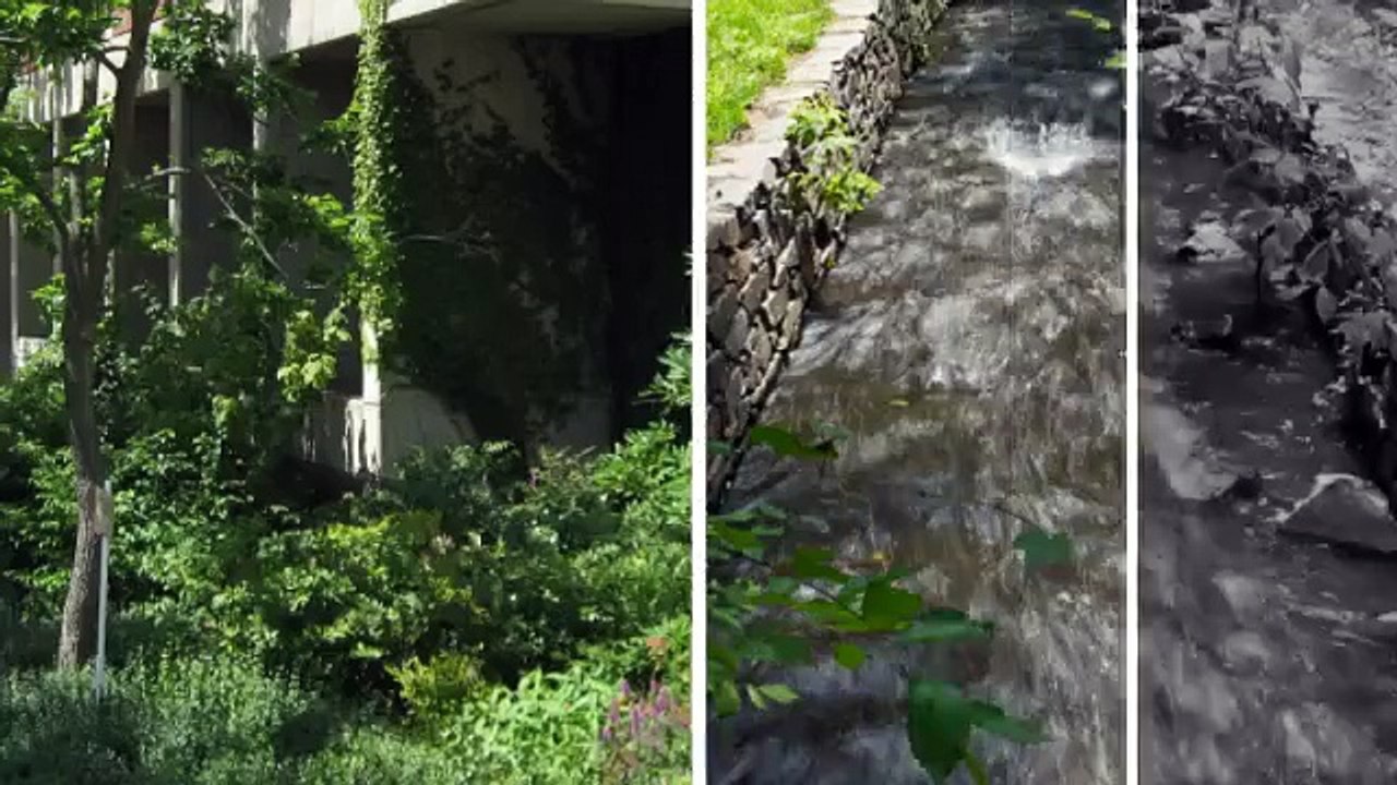 Volusia Curb LLP, Landscape Design, Port Orange, FL, 32127, (386) 631-3090