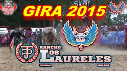 5-de-septiembre-los-toros-DIVINOS-en-KILGORE-