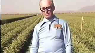 Dr. Norman Borlaug - 1980 Interview about development and wheat