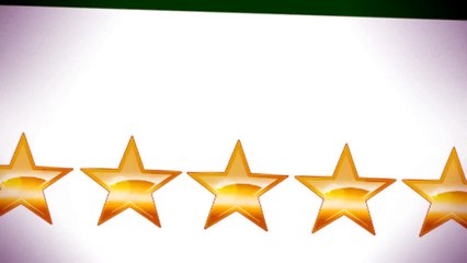 Translit Translation Services Review