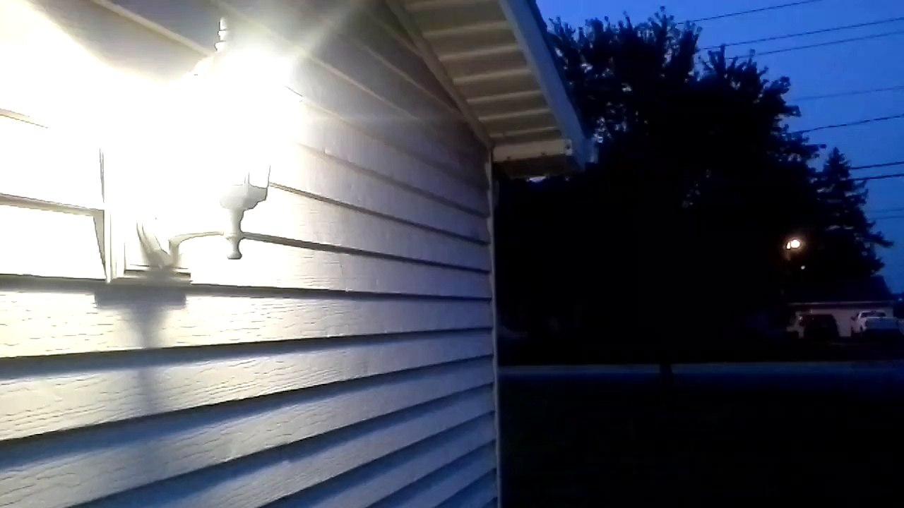 chickens, crickets and cuda