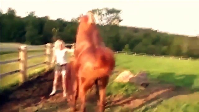 sexxyyy video 2014 nik live best funny animals compilation funny videos 2014 HD Part42