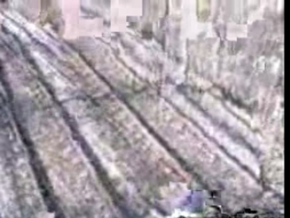 Traindodge