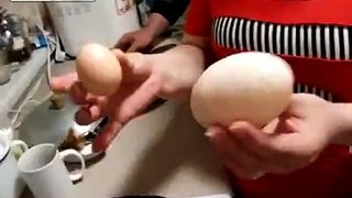 3 Egg Omelet Using 2 Eggs