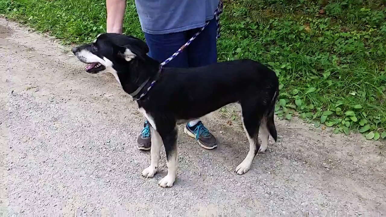 Kaya-Husky-x-F-8.15.15